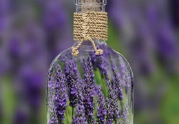 Crème pour les mains aux huiles essentielles de lavande BIO