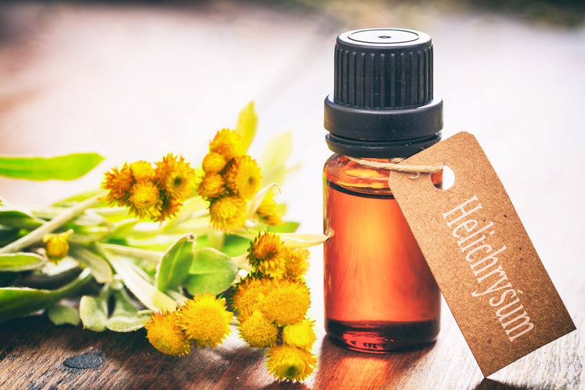 Connaissez vous La Fleur d'Immortelle?