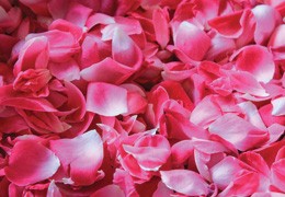 Lotion tonique purifiante : l’eau aromatisée de Rose